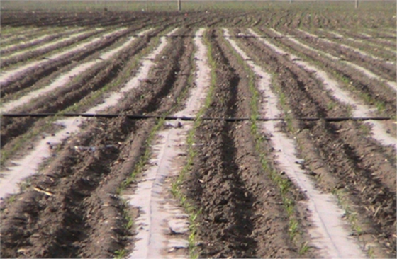 彰武縣節(jié)水增糧項(xiàng)目 彰武縣節(jié)水增糧項(xiàng)目