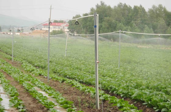 張家口噴灌項(xiàng)目 張家口噴灌項(xiàng)目